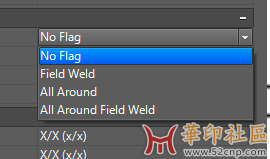 Flag Options.PNG