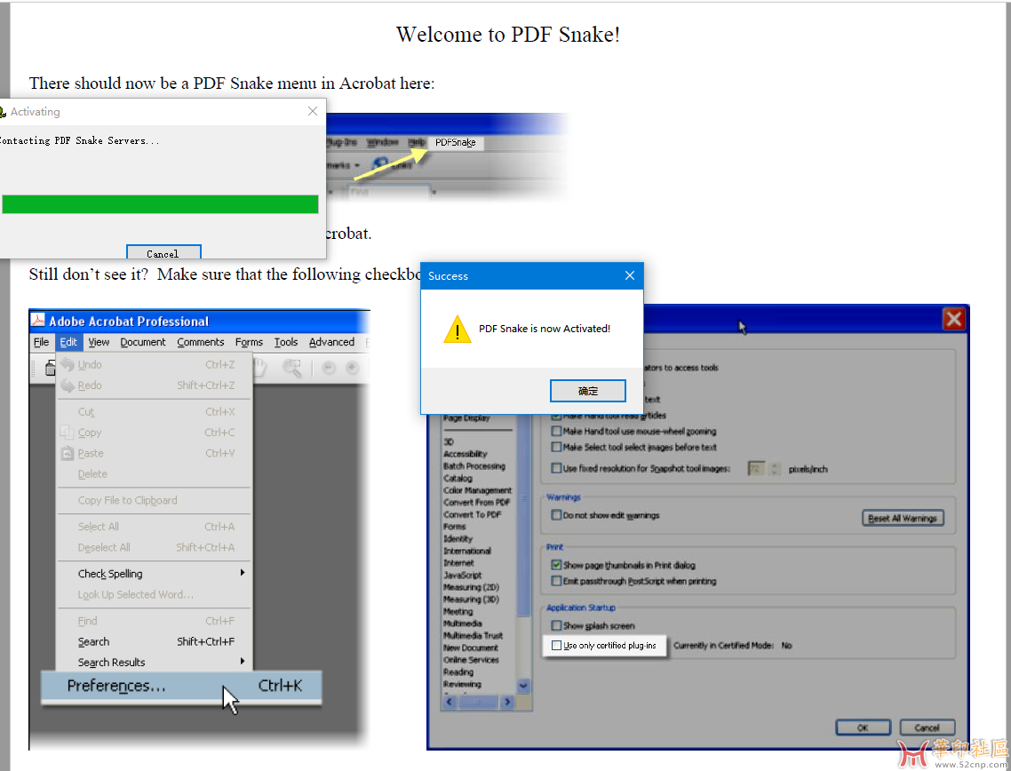 PDF Snake5.13{tag}(3)