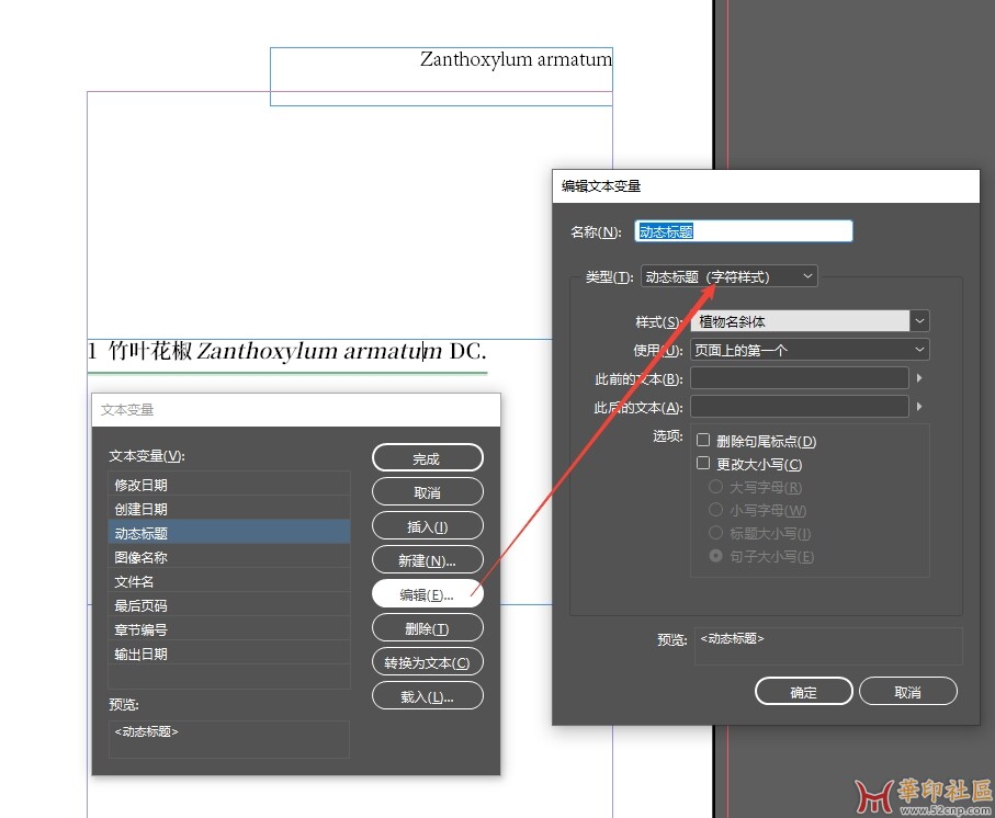 ID中如何将一级标题去掉一部分内容动态显示在各页右上角？{tag}(3)