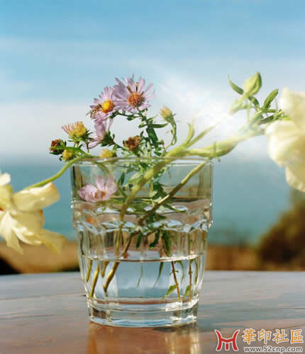 Adobe.Lightroom.Classic.v15.0.m0nkrus的最新原版下载{tag}(2)