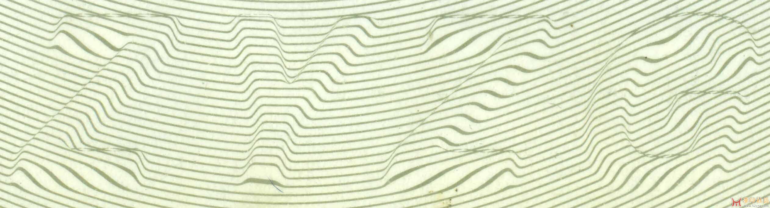 请问这种浮雕底纹用什么防伪软件制作